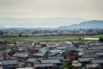 滋賀県多賀町敏満寺周辺の風景	