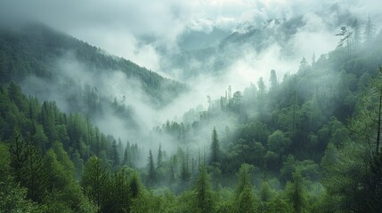 Misty Mountains and Morning Dew, Capturing the Freshness of Summer. - obrazy, fototapety, plakaty