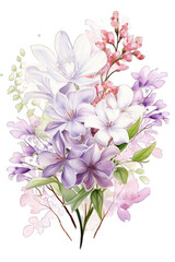 Floral Bouquet of Spring Flowers: Cherry Blossoms, White Magnolias and Lilacs in Pink, Light Purple and White on a Transparent Background