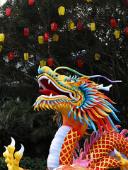 Traditional dragon for Chinese New Year