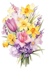 Floral Bouquet of Spring Flowers: Tulips and Daffodils in Pink, Lavender and Yellow on a Transparent Background