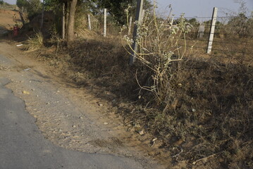 Bad road, cracked asphalt with potholes and big holes. Potholes on the road with stones on the asphalt. The asphalt surface is destroyed on the road. Bad condition of the road
