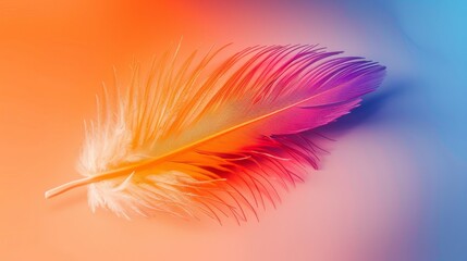 Colored bird feather floating in air on gradient background 