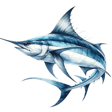 recommend clip art: Swift Elegance,Swordfish in Dynamic Watercolor Underwater Clipart
                    