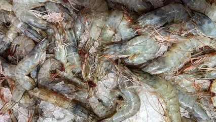 Top view of prawns covered with ice. Asian street market concept