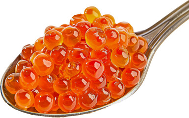 Glossy red salmon caviar on a spoon isolated cut out on transparent background