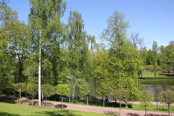 12 05 2023 St. Petersburg Russia. St. Petersburg is located in the north-west of the country on the coast of the Gulf of Finland at the mouth of the Neva River.