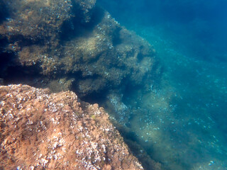 Vista subacquea di un fondale roccioso con alghe e coralli a San Lorenzo 175