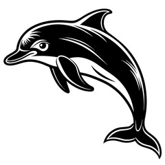 dolphin isolated