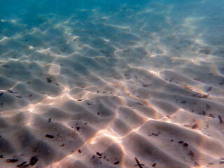 Vista subacquea di una spiaggia sabbiosa di San Lorenzo in Sicilia 296
