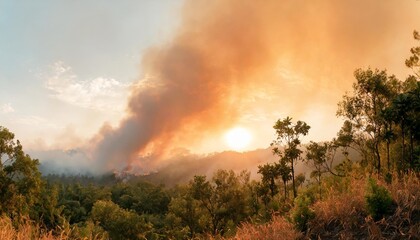 panorama of a forest fire burning trees and bushes conflagration wildfire flames and clouds of smoke in the jungle an environmental disaster - obrazy, fototapety, plakaty