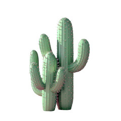 Green cactus on Transparent Background