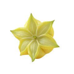 Fototapeta premium A yellow flower on a Transparent Background