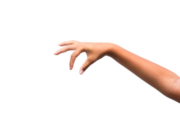 Woman's hands isolated on white background. clipping path