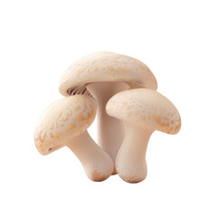 Three mushrooms on transparent background