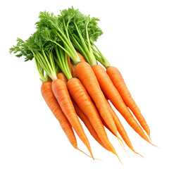 culinary comfort carrot closeups