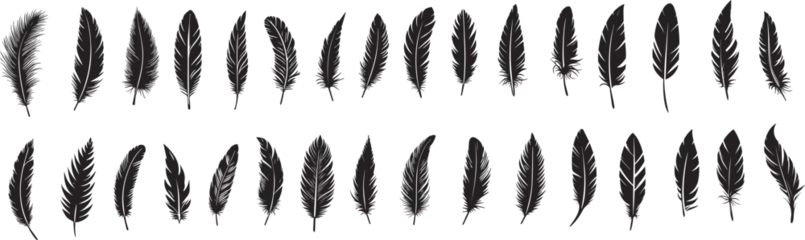 Papier peint Plumes set of silhouettes of feather on transparent background