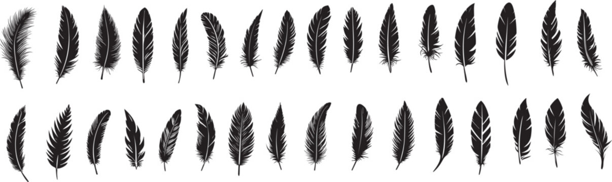 set of silhouettes of feather on transparent background