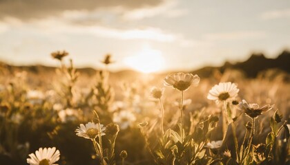 floral background vintage flowers