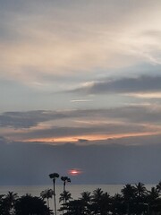 beautiful sunset on sea view with beach and tree