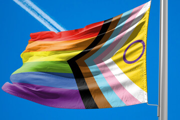 The Intersex-Inclusive Pride Progress Flag  This flag was designed to celebrate diversity and inclusion for everyone in the LGBTQI+ (lesbian, gay, bisexual, transgender, queer, and intersex) community - 778716784
