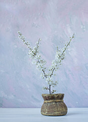 A bouquet with blooming spring branches of cherry and sakura with delicate white flowers in a jug on a soft pastel background. artistic photo.