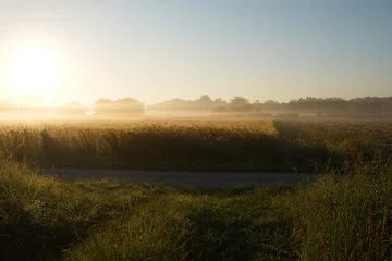 Fototapeten Landschaft, Morgenstimmung © Peter Oetelshofen