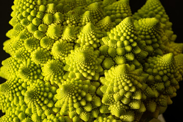 close-up photo of cabbage, branched inflorescence in middle of rosette of leaves, called cauliflower in botany - obrazy, fototapety, plakaty