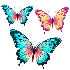 Set of Butterfly transparent background