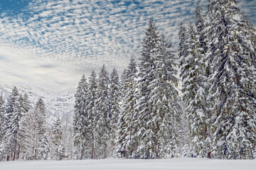 Tief verschneite Alpenlandschaft,  Ammergebirge
