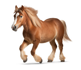 Obraz premium Pony in running pose on isolated background