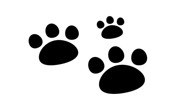 dog footprints