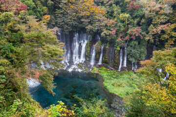 Shiraito Falls in autumn season, Fujinomiya, Shizuoka Prefecture, Japan
