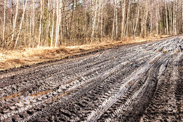spring landscape with muddy swamp, forest road, spring, dirty wet road texture