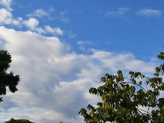 light blue sky white cloud and green tree