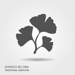 Cartoon flat ginkgo biloba leaves isolated with shadow. - 778731967