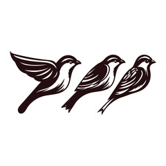 Collection of Canary Robin Sparrow Bird , Black White Style