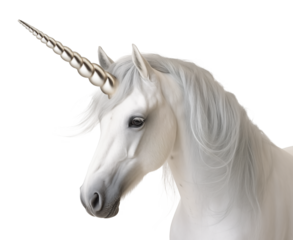 Unicorn white horse with horn, head side profile portrait on isolated background