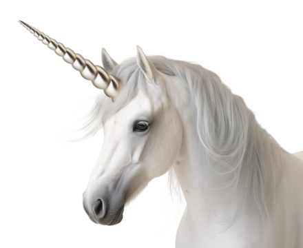 Unicorn white horse with horn, head side profile portrait on isolated background - Powered by Adobe