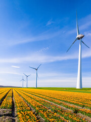 A vibrant field of yellow tulip flowers swaying in the wind against a backdrop of majestic windmills