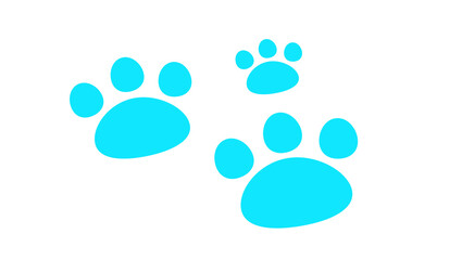 dog footprints
