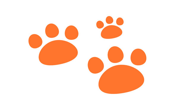 dog footprints