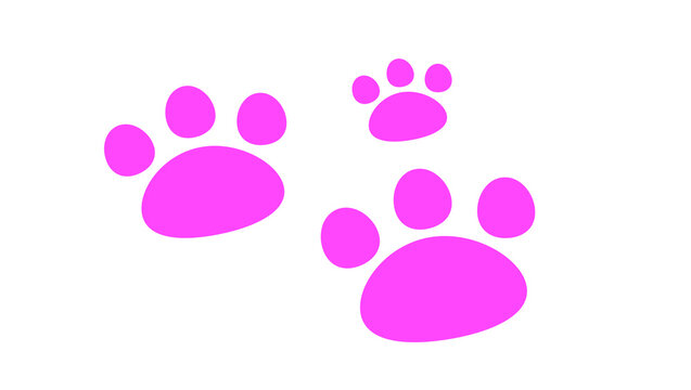 dog footprints