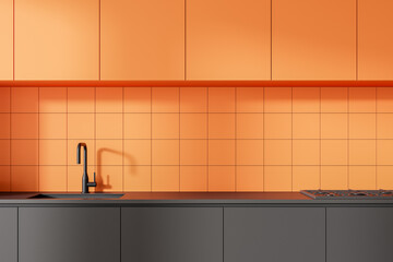 Modern hotel kitchen interior with washbasin and stove, minimalist shelves