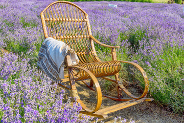 Rocking chair on lavender field
