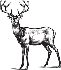 Classic Reindeer Nostalgia Vintage Christmas Reindeer Vector Design Icon Vintage Reindeer Wonderment Christmas Reindeer Vector Emblem