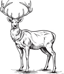 Timeless Reindeer Whimsy Vintage Christmas Reindeer Vector Illustration Festive Reindeer Charm Retro Christmas Reindeer Vector Design Icon