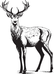 Vintage Reindeer Tradition Christmas Vector Logo Emblem Whimsical Reindeer Elegance Vintage Christmas Vector Logo Illustration