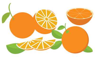 Orange  Vector Design And Illustration Bundle.