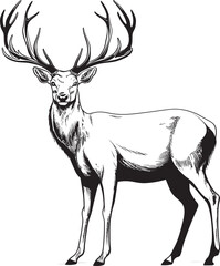 Vintage Reindeer Festive Delight Christmas Vector Logo Emblem Antique Reindeer Radiance Vintage Christmas Vector Logo Illustration